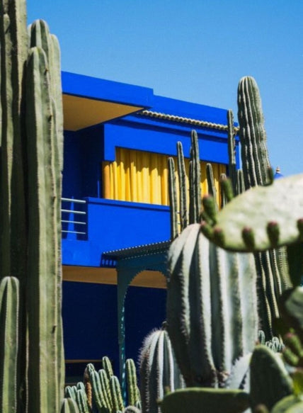 ESCALE—N°2 | Les favoris de mars de Sophie