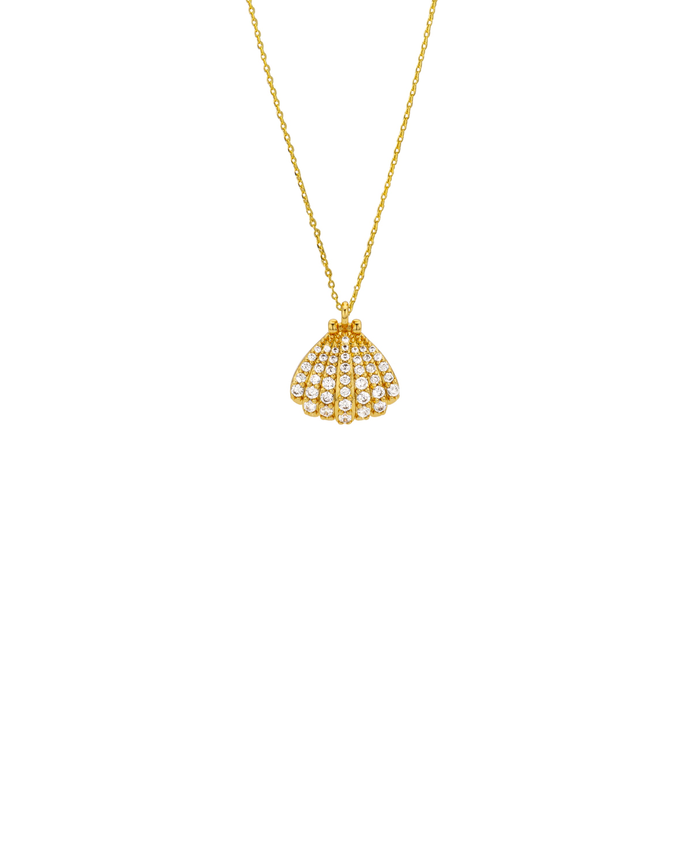 COLLIER - SHELL