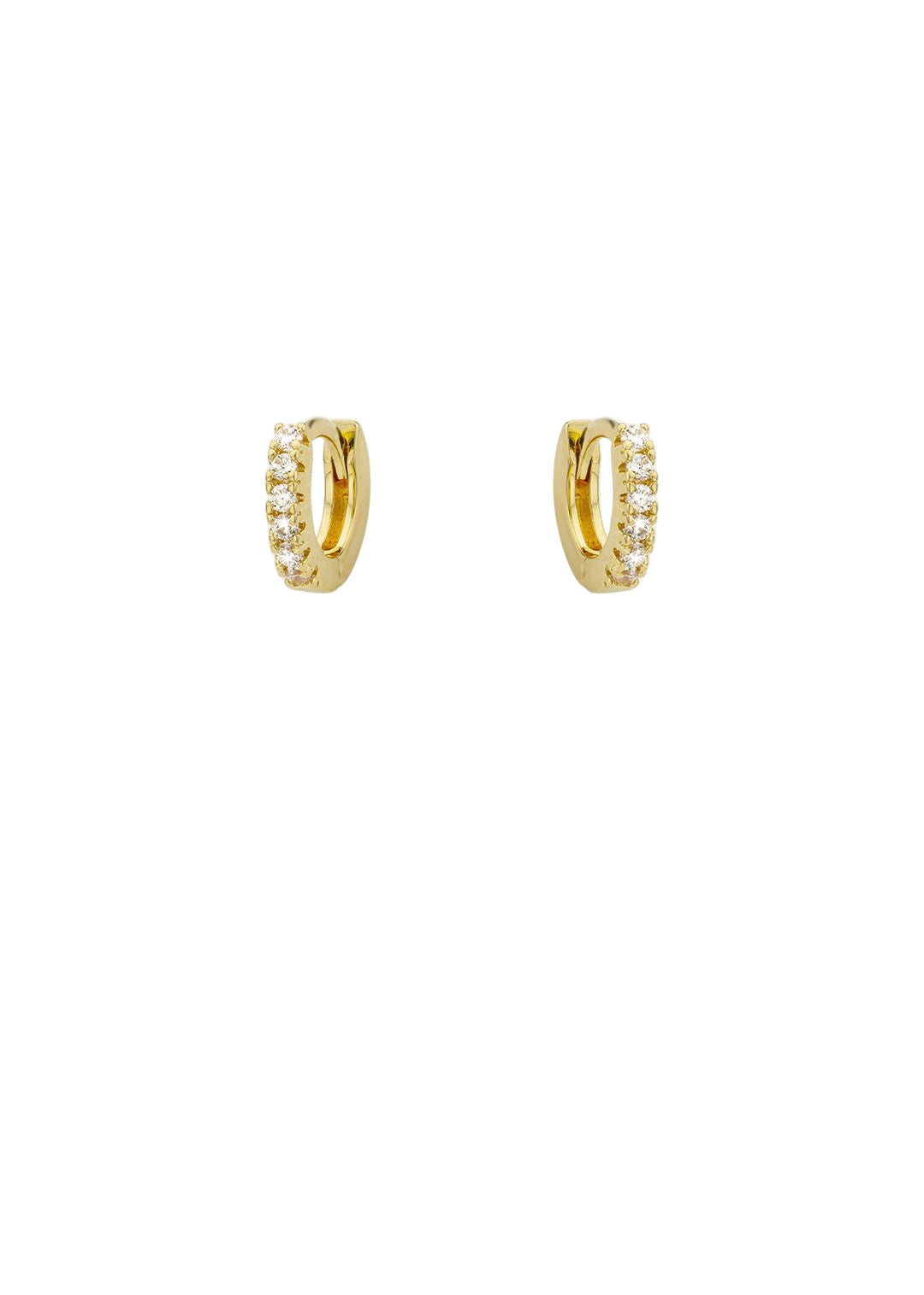 EARRINGS - MINI DELHI