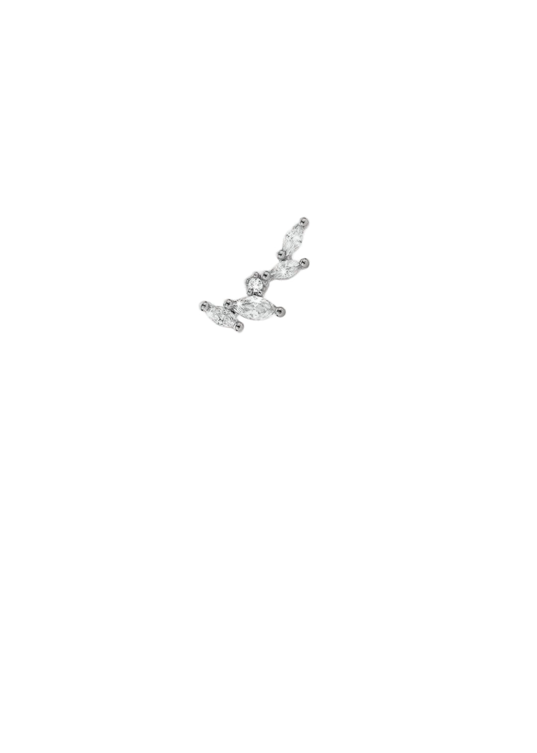 PIERCING - LITTLE SWEETBAY MAGNOLIA
