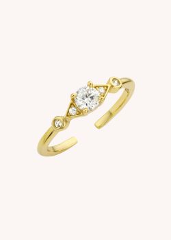 RING - AKITA