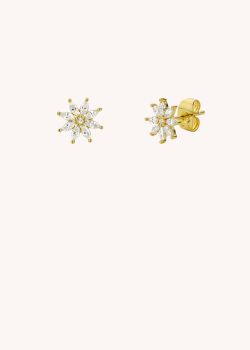BOUCLES D'OREILLES - BLOOM