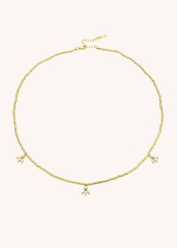 COLLIER - MAGNOLIA CHANCE