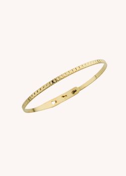BANGLE - FISH